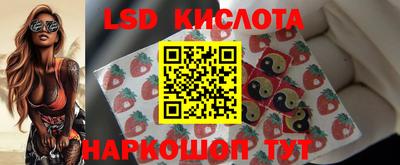 дмт Пенза