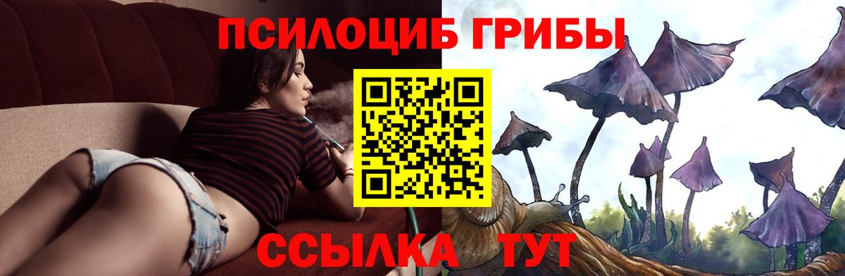 Псилоцибиновые грибы мицелий  Псилоцибиновые грибы Cubensis  Вход с VPN  Северобайкальск 